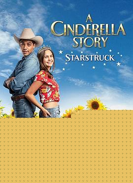 灰姑娘的故事：明星之恋