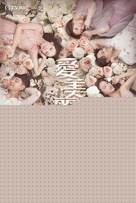 爱美丽狂想曲国语(全集)