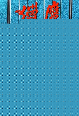 猎鹰国语(全集)