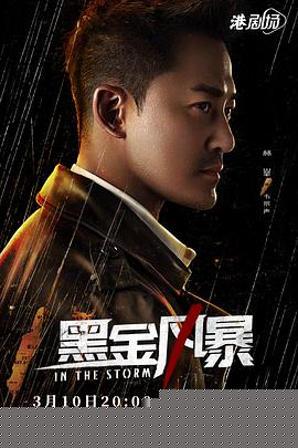 黑金风暴国语(全集)