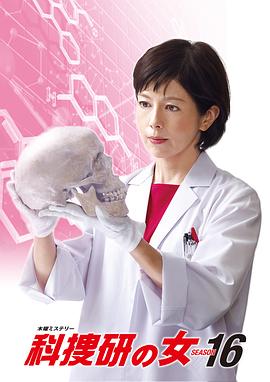 科搜研之女第16季(全集)