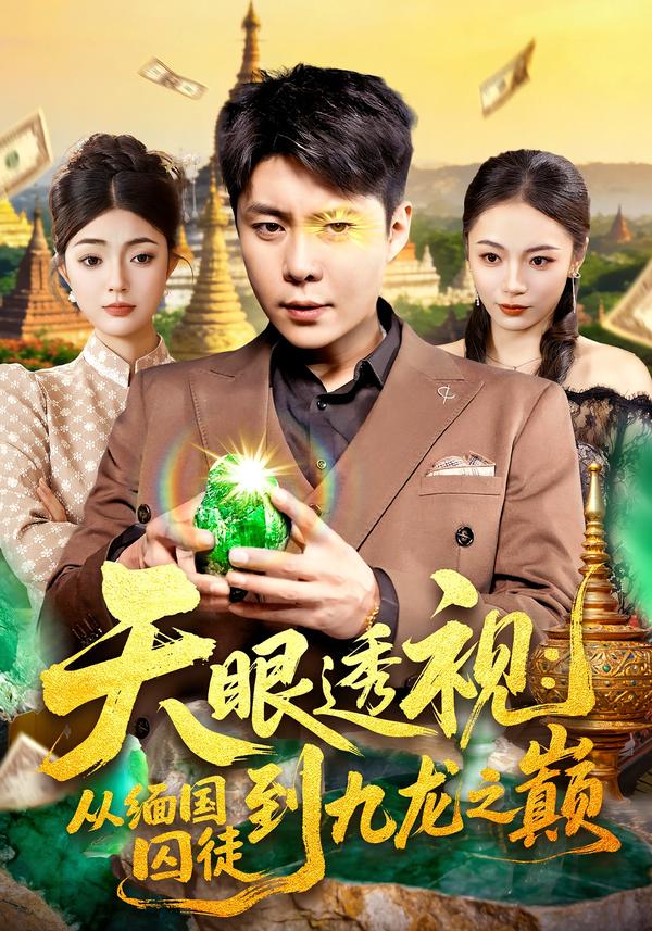 天眼透视：从缅国囚徒到九龙之巅(全集)